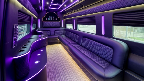 lake charles sprinter limo rental interior