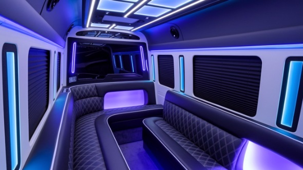 lake charles sprinter limo rental rental